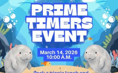Prime Timer’s Event