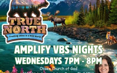 Amplify True North Nights