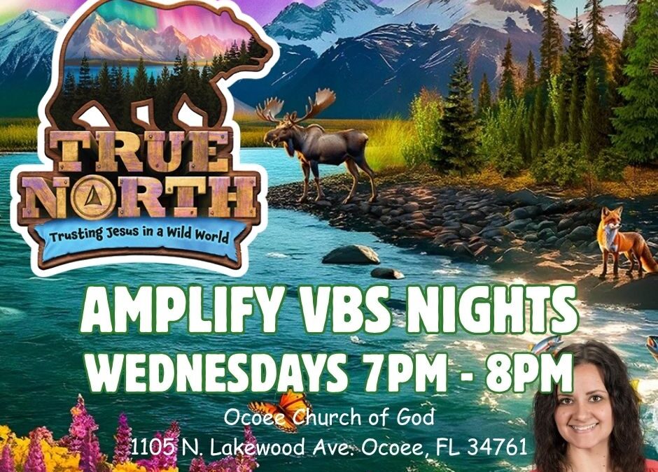 Amplify True North Nights